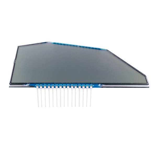 Irregular Shape Segment LCD Module Motorcycle Speedometer LCD Screen with ODO TRIP Fuel Level Indicator