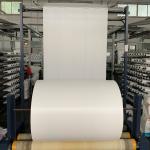 China SGS CE Manufacturer 100% Virgin Polypropylene Tubular PP Woven Fabric for Bags Laminated Coated for sale
