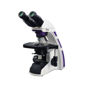 Quality 3w Led Finity System Student Compound Microscope for sale