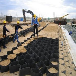 Quality 2m Normal Width Geocell HDPE Gravel Stabilizer Ground Grid Wantong Geo Cell 50mm Plastic for sale