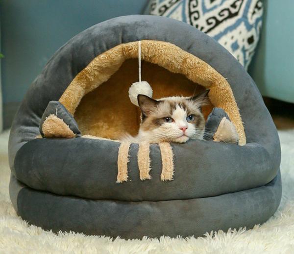 Buy Soft Plush Cheap Removable Cat Beds Amazon With Removable Cotton Pad at wholesale prices