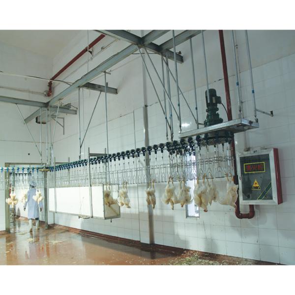800bph - 2000bph Chicken Automatic Slaughtering Machine Broiler Processing
