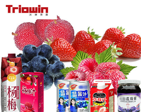 Strawberry processing machine Strawberry Beverage Processing Line homogenizer equirement