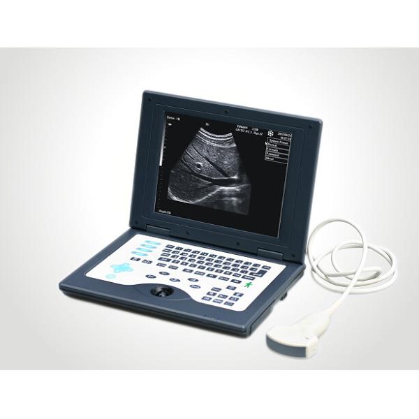 CLS5800 laptop Veterinary Ultrasound Scanner Full Digital Ultrasonic Diagnostic System