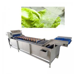China Belt Type 2T/H Vegetable Fruit Washing Machine High Pressure Spray Washing Machine on sale