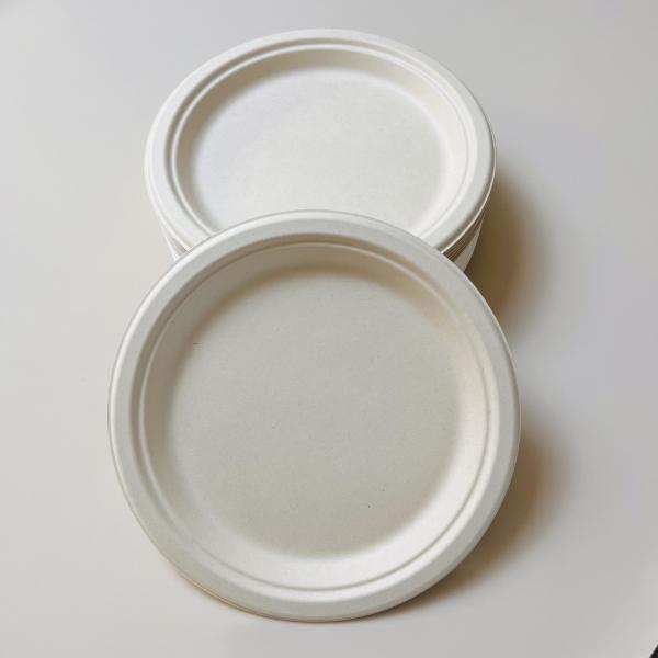 6 Inch Round Disposable Paper Plate Sugarcane Pulp Paper Party Plate Compostable 100% Biodegradable Bagasse Plates
