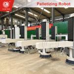Fertilizer Plant Precision Stacking Automation Solution
