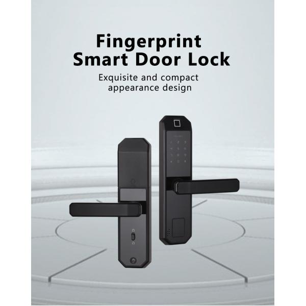 Amazon Hot Selling Keyless Fingerprint Door Lock For Various Occasions