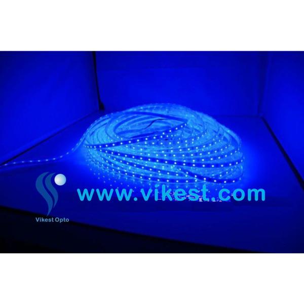 5M 3528 RGB Waterproof Flexible Strip 300 LED Light + IR remote controller