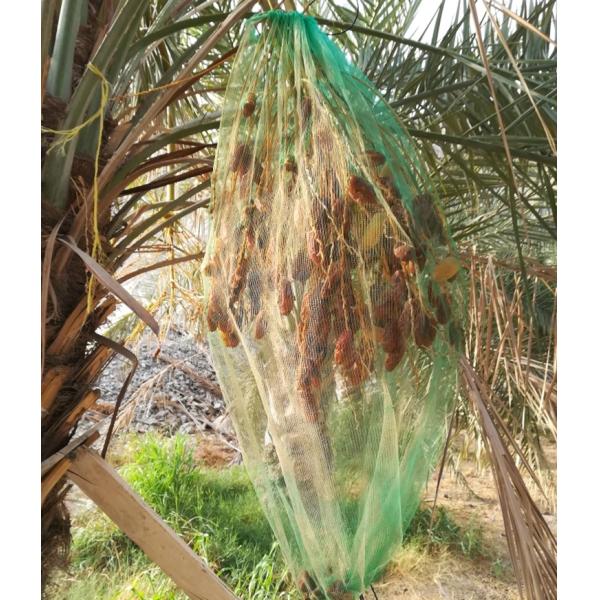 Industrial Agriculture HDPE Mesh Bags for Palm Date and Mango Anti Insect Net