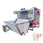 Pig Slaughter Machine Pig Slaughter Line Pig Slaughter Pig Scalding And