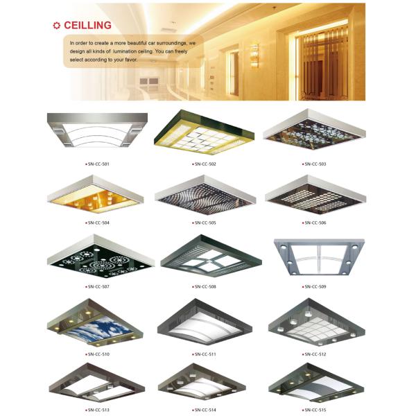 Ceiling Acrylic Transparency Passenger Elevator White Arch Light Emitting Panel