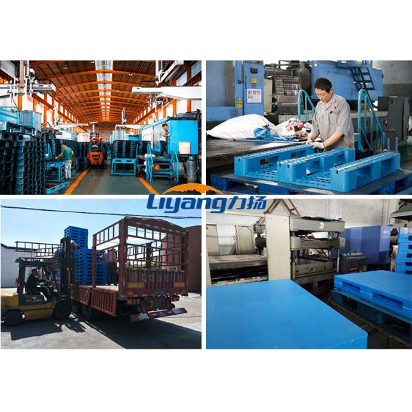 Export Economy Plastic Pallets HDPE Disposable Package Pallet