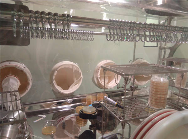 Low Noise Ss316 Sterility Test Validation Single Side For Beverage Factory