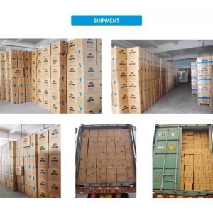 Shanghai Sanitmedical Technology Co.,Ltd