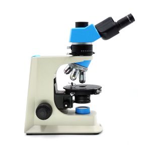 Quality A15.2603 Polarizing Light Microscope / Compound Light Microscope Trinocular Illumination for sale