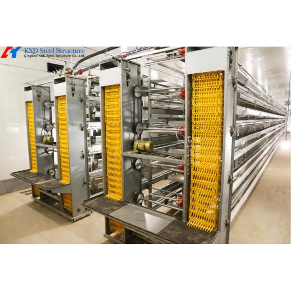 A Type Battery Layer Cage Poultry Farming Cage System With Automatic Feeding Machine