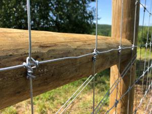 Quality Deer Fixed Knot Fence 1.2m Hinge Joint Cattle Wire Mesh Field Fence for sale