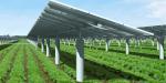 Customize Solar Power Mounting Support PV Bracket Single Axis Tracker