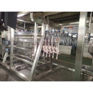 200BPH 300BPH 500BPH Automatic Kill Cutting Goose Duck Chicken Abattoir