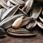 Sunflower Seeds From Inner Mongolia Factory direct High quality T5 sunflower