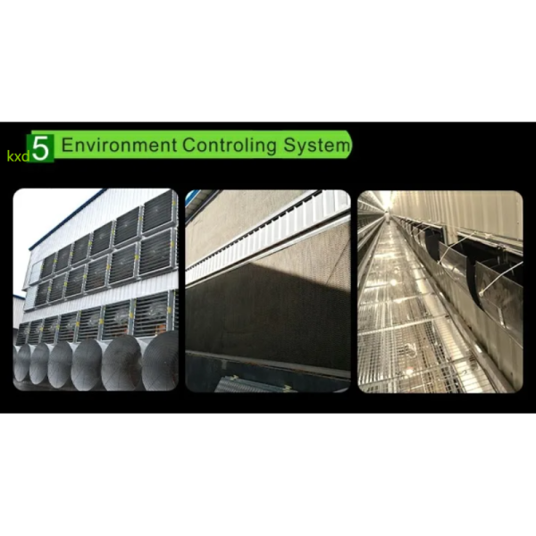 Hot-dip galvanized H-type layer cage with high egg laying rate and good ventilation for large scale poultry breeding