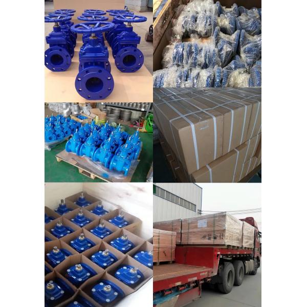 PN10 Ductile Iron Body 100mm Handwheel Soft Seal Rising Stem Elastic Gate Valve