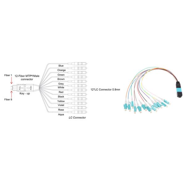 High Capacity 0.9mm Branch MPO MTP Cable Hydra Cable For Data Center
