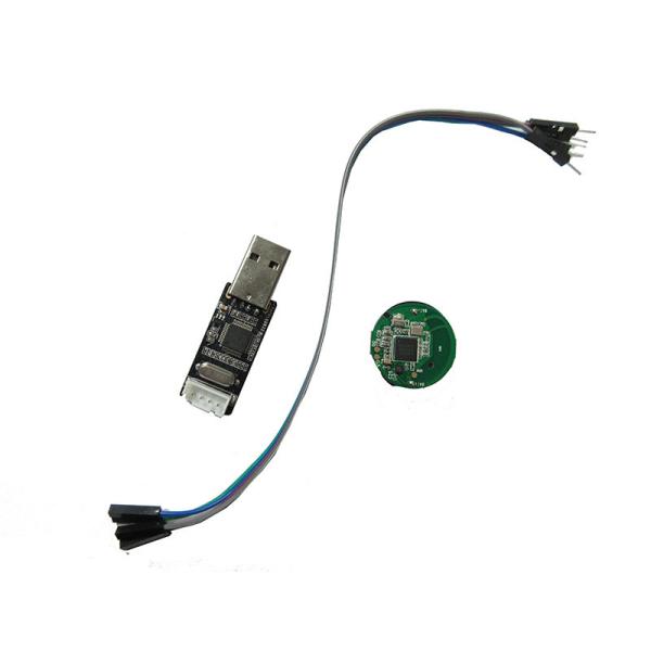 Nordic NRF52832 WIFI Low Power Bluetooth Module CE Certification