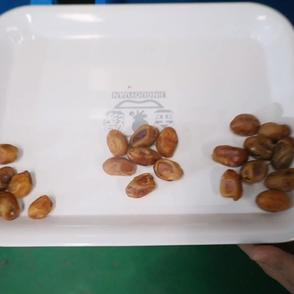 Innovation Redefined Date Sorting Machine Standarded With Advanced Technology