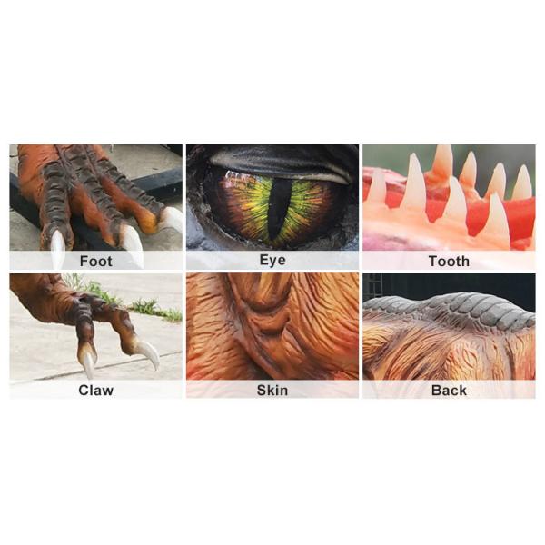 Customizable Lifelike Realistic T-rex Animatronic Dinosaur For Park