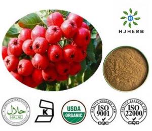 China Brown Yellow Low Blood Pressure Hawthorn Berry Extract Powder on sale