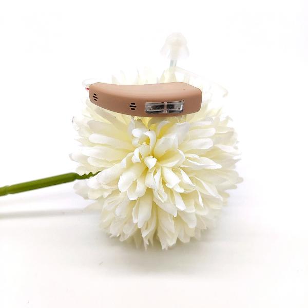 BTE Mini Rechargeable Hearing Aids Dual Microphone Beige White
