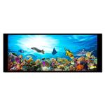 6.8 Inch Hight-Brightness TFT LCD Display LVDS Interface