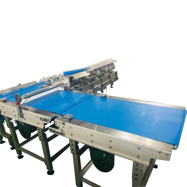 Automatic Chikki Making Machine | High-Efficiency Peanut Candy Production Line
