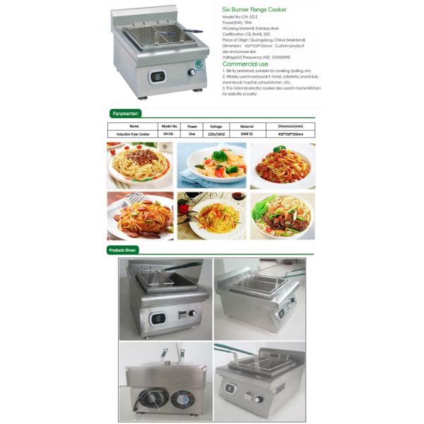 Practical and Energy stainless steel chips fryer with 220v