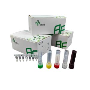 Quality High Sensitivity RNA Amplification With Improved Detection Isothermal Kit for sale