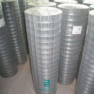 China Plain Weave Welded Wire Fence Roll Galvanized Iron Wire Fencing Mesh Hole 1/2 X 1/2 on sale
