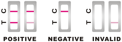 Immunochromatographic Anti HCV Rapid Test Kit For Qualitative Detection