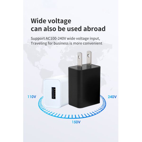5V 0.6A Universal USB Wall Charger 100V - 240V Input Voltage