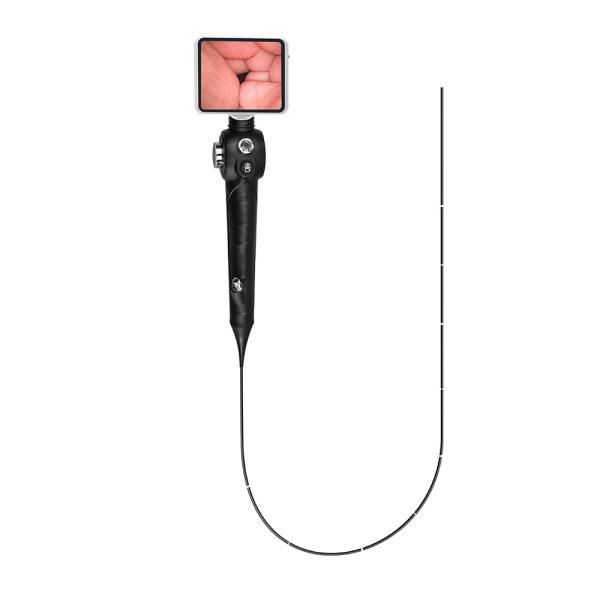Buy Portable Flexible Endoscope Video Camera For Small Animal Gastroscope And Colonoscope at wholesale prices