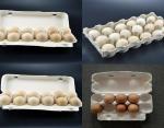 Waste Pulp Egg Tray carton Making Machine For Egg Packaging 350pcs/h-2500pcs/h