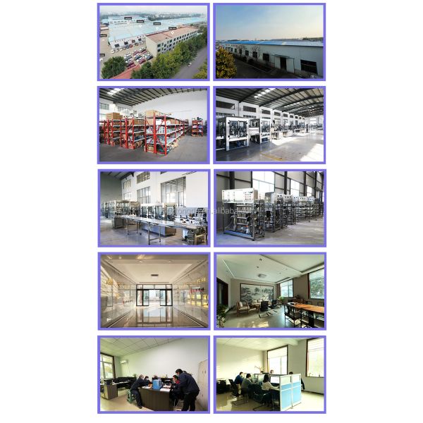 High Performance Automatic Bottle Capping Machine Olive Oil Glass Bottles Cap Tightening