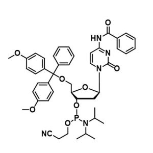 Custom Oligonucleotide Primer Synthesis dA dC dG dT Phosphoramidite