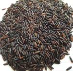 Intelligent CCD Nir Sensor Black Rice Sorter For Rice Mill Grading Processing