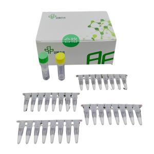 Quality Conveniently Test RNA Isothermal PCR Kit At Home Reagent Buffer for sale