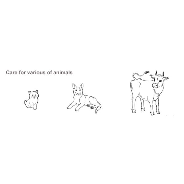 NIBP SPO2 EtCO2 Vital Sign Monitor