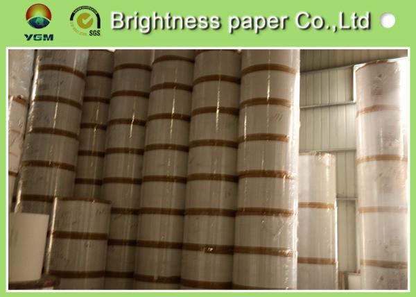 Buy High Grammage File Board Paper , Smooth Surface Clay Coated Printer Paper at wholesale prices