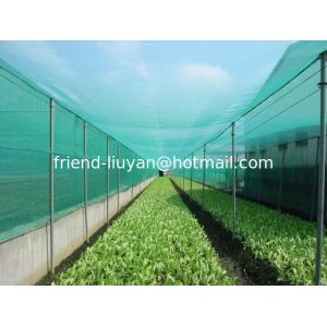 UV Treated Agriculture Insect Net