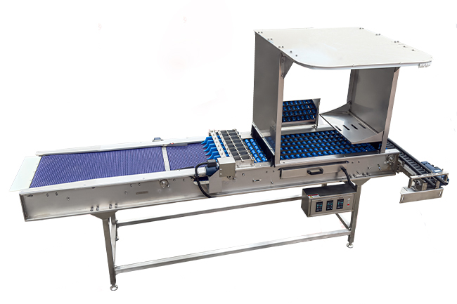 10,000 Eggs/hour Stainless Steel Egg Grading Sorting Machine From China